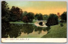 view of Buffalo Park New York Illustrated Postal Card UDB Germany Made Postcard picture