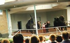 YK14 35mm Original Slide Classic Americana A TRUE ELEPHANT KING ANIMALS CIRCUS picture