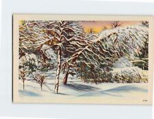 Postcard Covered in Snow Winter Scenery picture