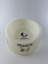 Vintage Peanuts Snoopy Plastic Dish picture