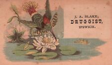 1880s-90s Bird Flying Flower J.A. Blake Druggist Ipswich Trade Card picture
