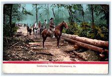 c1905's Lumbering Scene Horse Riding Forest Johnsonburg Pennsylvania PA Postcard picture