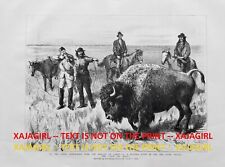 Buffalo American Bison Hunt Red River Valley Manitoba Canada 1880s Antique Print picture