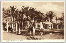 Suez the fountain of moses cairo egypt vtg postcard 1900s picture