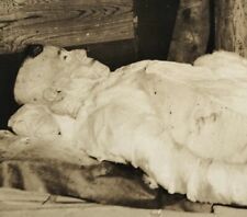 Rare Photo Recovered Corpse of FLOYD COLLINS Mammoth Cave Kentucky 1920s picture