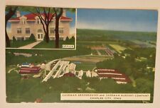 Unused Postcard Cashman Greenhouses Sherman Nursery Company Charles City, IA N2  picture