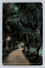 FL-Florida, Under The Shade Of Palm Trees, Antique, Vintage c1913 Postcard picture