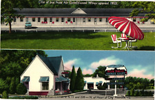 1956 Blue Eagle Tourist Court Motel Roanoke Virginia Vintage Postcard picture