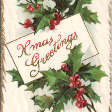Vintage 1910s Xmas Christmas Greetings Holy Ilex Aquifolium Postcard picture