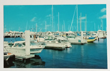Municipal Yacht Basin Marina Old Boats Ft Myers Florida FL UNP Postcard c1970s picture