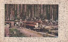 1906 Logging Tall Timber Washington WA Seattle to Sheldon MO UDB Postcard D29 picture