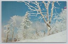 Post Card Typical winter scene in Vermont F206 picture