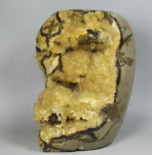 4.04 lb Natural Polished DRAGON SEPTARIAN Calcite GEODE Crystal Quartz Standup picture