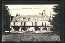 CPA Moulins-sur-Ouanne, Château de Pont-Marquis 1920  picture