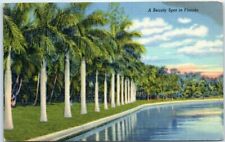 Postcard A Beauty Spot in Florida USA North America picture