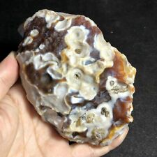 441g  Bonsai Suiseki-Natural Gobi Agate Eyes Stone-Rare Stunning Viewing 937 picture