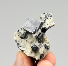 Galena on Dolomite and Chalcopyrite - Sweetwater Mine, Reynolds Co., Missouri picture