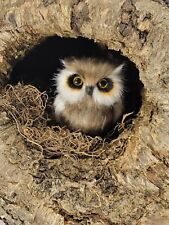 Cute Owl (Artificial Bird) In Real Hollow Log Wildlife Setting Bird Nature Wood picture