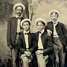 Antique Tintype Group Photograph Men Sons Matching Military Stripe Civil War picture