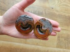 Warring States Agate Pair (Flighting blood Agate) Polished All Natural picture