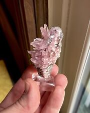 Pink Cobaltoan Calcite Crystals on Matrix Bou Azzer District Morocco  picture
