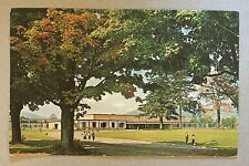 WALTON New York NY Central School vintage chrome postcard picture