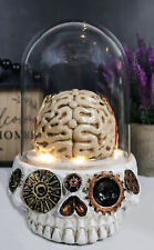 Steampunk Apothecary Gearwork Skull With Brains In LED Light Cloche Glass Dome picture