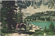 Cowboys At East Fork Bear River Priord Lake, Wasatch National Forest Postcard picture