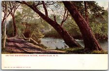 On the Swannahoa River Asheville North Carolina NC Trees Postcard picture