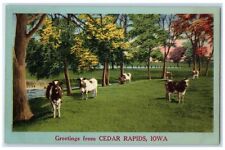 c1940's Greetings From Cedar Rapids Iowa IA Unposted Cows Trees Scene Postcard picture