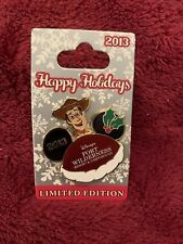 DISNEY HINGED PIN WDW HAPPY HOLIDAYS 2013 Fort Wilderness Woody Bullseye LE picture