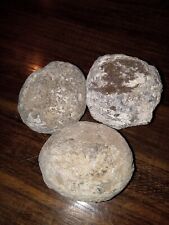 Guaranteed Hollow 3.0 Inch Diameter Break Your Own Mexican Coconut Geode   picture