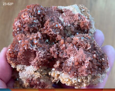 Vanadanite Arizona World Class Big Crystals Specimen HUGE 350g. SEE VIDEO picture