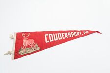 Vintage Coudersport Pennsylvania Souvenir Felt Pennant 26