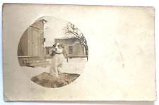 c1908 RPPC Postcard Puppy with Ribbon Bow Corfu, NY B2 picture