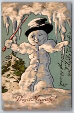 New Year Fantasy~Happy Snowman In Icy Silvery Snow Weather~Waves Cane~Emb~1902 picture
