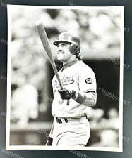 MIKE PIAZZA Los Angeles Dodgers MLB Baseball Original Photo Type 1 picture
