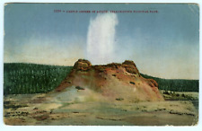 Castle Geyser in Action Yellowstone National Park Wyoming c1910 Postcard picture