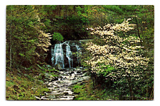 unposted 5.5x3.5 inch postcard MEIGS CREEK FALLS Great Smoky Mountains picture