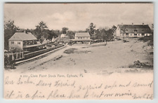 Postcard RPPC 1907 Clare Point Stock Race Horse Farm in Ephrata, PA picture