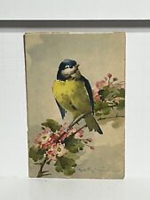 Postcard Bird on Limb Flowers Signed by Artist C. Klein A60 picture