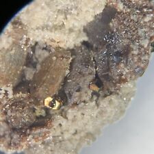 Siderite & Pyrite Crystal Micro Brooklyn Mine 1500 Stope 2 Lvl San Juan Co CO US picture