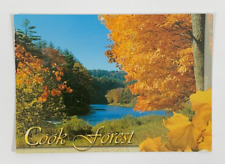 Clarion River at Cook Forest State Park Cooksburg Pennsylvania Postcard Posted picture