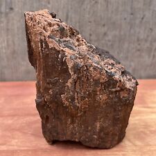 1.97 LB UTAH Raw Rough PETRIFIED FOSSIL WOOD Log 4.5” BLACK RUSTS BROWNS SPARKLE picture