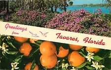 GREETINGS FROM TAVARES FLORIDA FL pm 1968 1960's POSTCARD picture