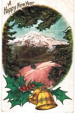 Happy New Year From Tacoma Washington 1910 WA picture