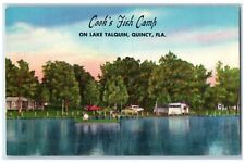 c1940's Cook's Fish Camp On Lake Boat Fishing Talquin Quincy Florida FL Postcard picture