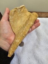 Old Stock Calcite Stalactite From Indiana  picture