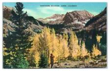 Montezuma Mountain Aspen Colorado Unused Postcard picture