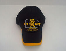AFL CIO painters and aillied trades DC 57 western Pennsylvania  embroidered hat  picture